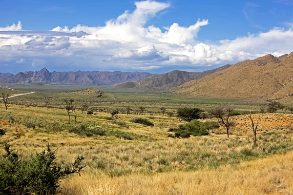 Woestijn En Namibie — Stockfoto