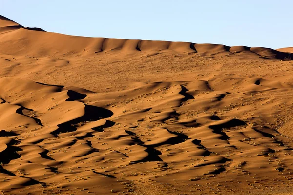 Deserto En Namibie — Foto Stock