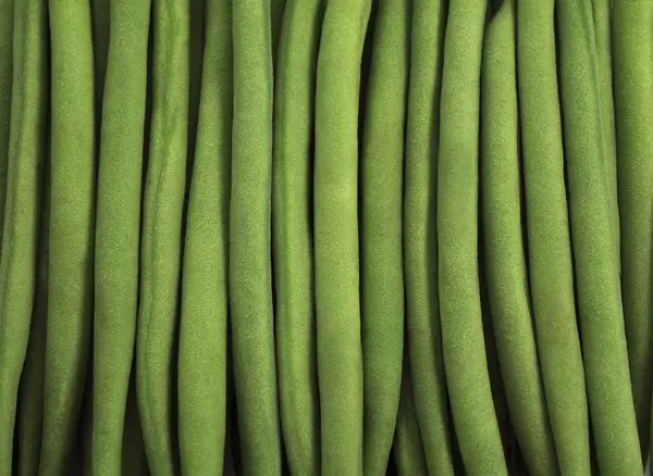 Haricot vert — Fotografia de Stock