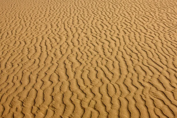 Wüste en namibie — Stockfoto