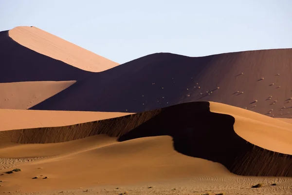 Desert En Nobie — стоковое фото