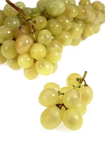 RAISIN BLANC — Stockfoto