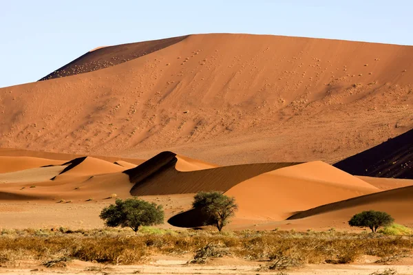 DESERTO EN NAMIBIE — Fotografia de Stock