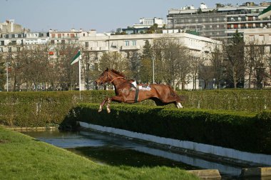 Rota Hippique