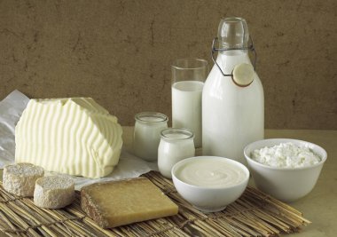 Produits Laitiers