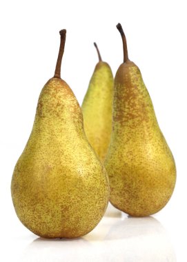 Poire Konferansı