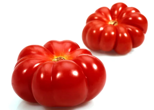 Tomate Camone-félék — Stock Fotó