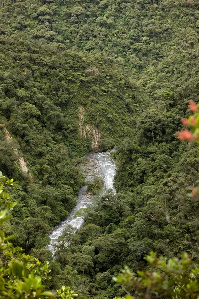 Peru! — Stock Fotó