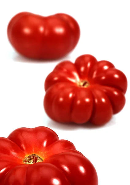 Tomate Camone — Φωτογραφία Αρχείου