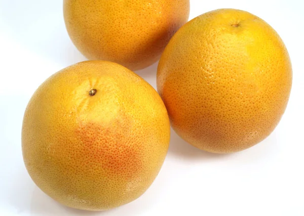 Pomarańcza olbrzymia — Zdjęcie stockowe