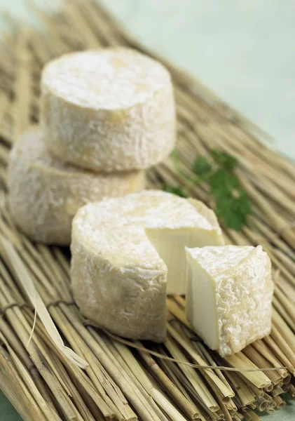 Chevre de Crottin — Foto Stock