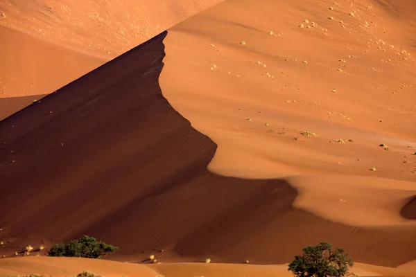 Desert en Namibie — Foto de Stock