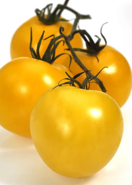 Tomate Jaune. — Zdjęcie stockowe