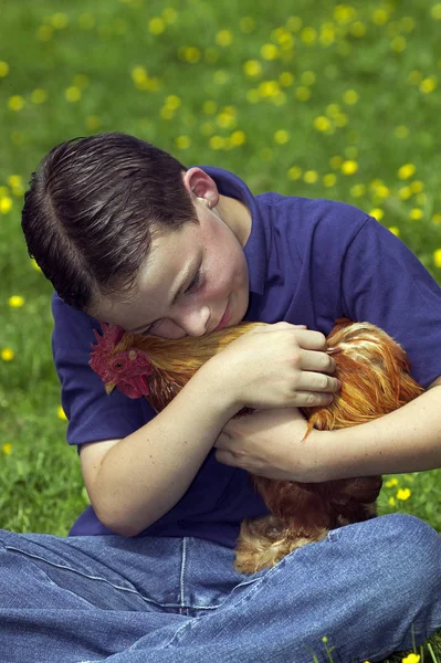 COQ ENFANT ET — Fotografia de Stock