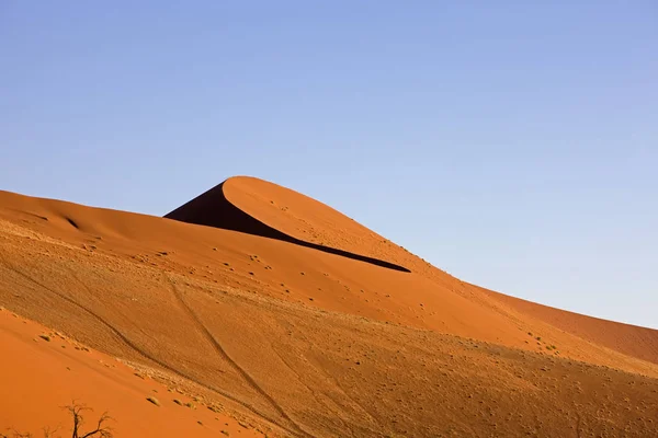 Woestijn En Namibie — Stockfoto