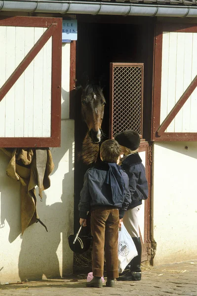 Equitation — Stok fotoğraf