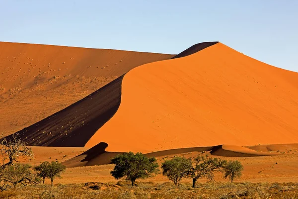Désert En Namibie — Photo