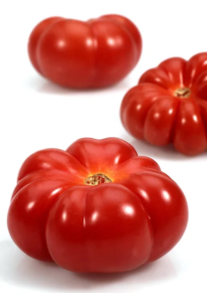 Tomate Camone — стокове фото