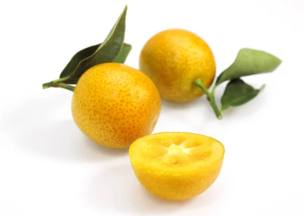 Kumquat — Stock Fotó