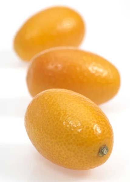 Kumquat — Stockfoto