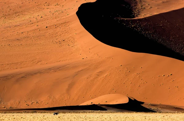 DESERTO EN NAMIBIE — Fotografia de Stock