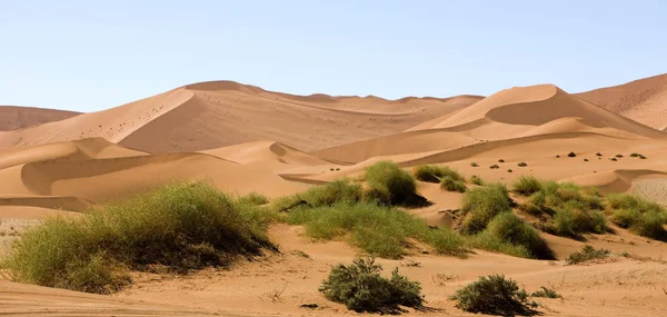 Woestijn En Namibie — Stockfoto