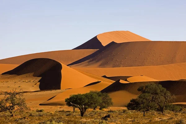 Woestijn En Namibie — Stockfoto