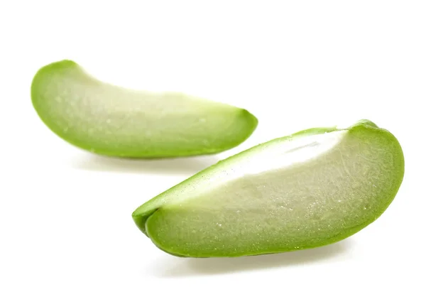 Chayote Sechium palmvaren — Stockfoto