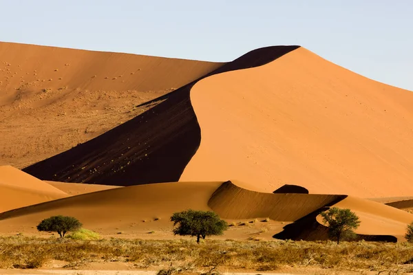 Pustynia Namibie — Zdjęcie stockowe