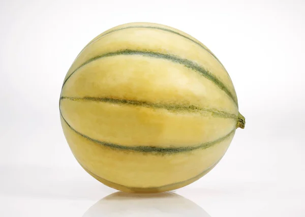 Melon De Cavaillon — Photo