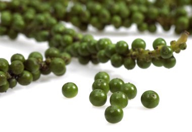 Taze Yeşil Biber, Piper Nigrum, Böğürtlenlere karşı Beyaz Arkaplan  