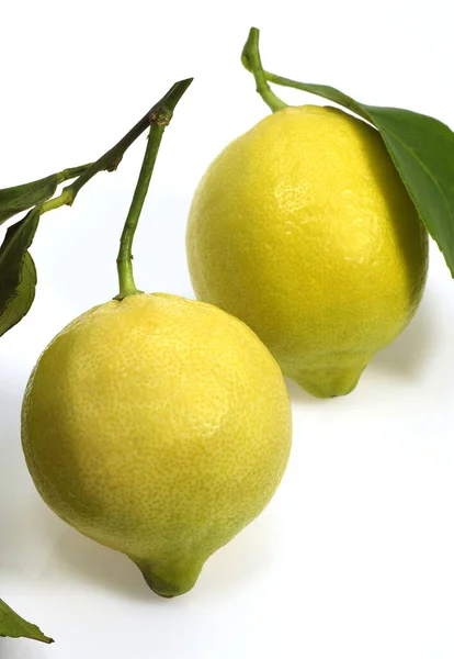 Sárga Citrom Citrus Limonum Gyümölcs Fehér Háttér Ellen — Stock Fotó