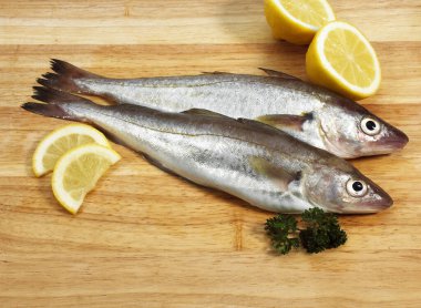 Taze Whiting, merlangius merlangus, Limonlu ve maydanozlu balıklar  