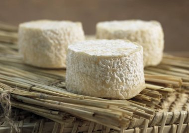 Crottin adında Fransız Peyniri, Keçi sütünden yapılmış peynir  