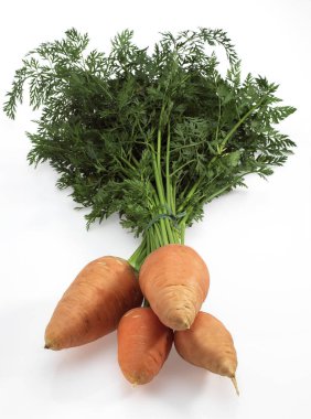 Carrot, daucus carota, Vegetable against White Background   clipart