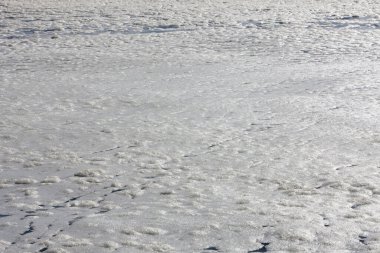 Deniz yüzeyinde köpük, Güney Afrika 'da sahte körfez  