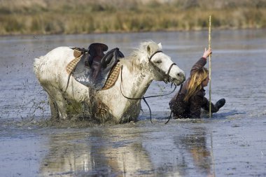 Camargue Atı Bataklıkta, Saintes Marie de la Mer Güney Fransa 'da, At Düşen Kadın  