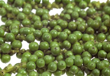 Taze Yeşil Biber, Piper Nigrum, Böğürtlenlere karşı Beyaz Arkaplan  