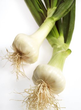 Beyaz soğan, liyum cepa, sebzeye karşı beyaz arkaplan. 