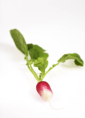 Pembe Turp, Raphanus sativus, Sebze, Beyaz Arkaplan 'a Karşı 