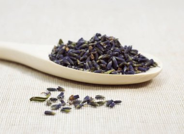 Lavanta, lavanta, kuru tohumlar.  