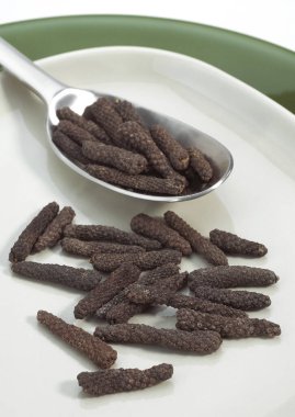 Uzun Biber, kavalcı uzun sakız, Böğürtlenlere karşı Beyaz Arkaplan  