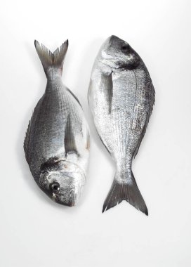 Gilthead Bream, Sparus Auratus, Taze Balık Beyaz Arkaplan 'a Karşı  