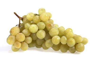Beyaz üzüm, vitis vinifera, meyveye karşı beyaz arkaplan  