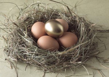 Yuvadaki Tavuk Yumurtaları, Tavuklu Altın Yumurta için Sembolik Resim  