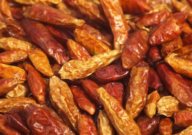 Kuş Biberi, Kapsicum Frutescens, Kondisyonu Kapat   