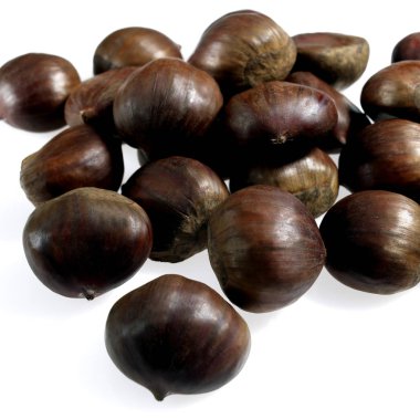 Kestane, kastanea sativa, meyveler beyaz arka plana karşı.  