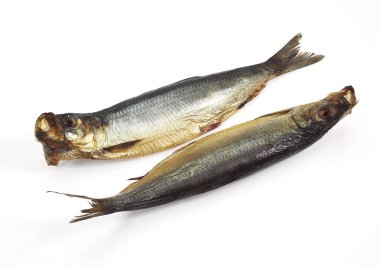 Tütsülenmiş ringa balığı veya Bouffi Bloaster, clupea harengus, Tütsülenmiş balıklar beyaz arka plana karşı  