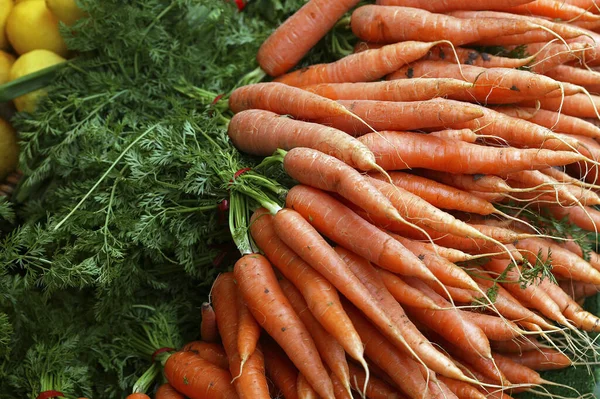 Carrot Daucus Carota Vegetable Market Stall — 스톡 사진