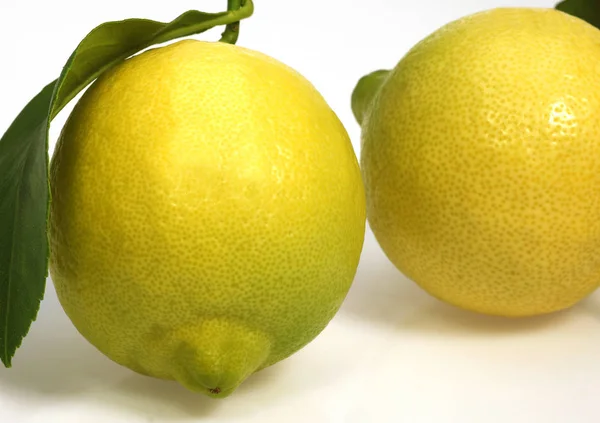 Sárga Citrom Citrus Limonum Gyümölcs Fehér Háttér Ellen — Stock Fotó